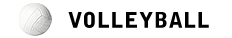 Will Work For Sets plays in a Volleyball league